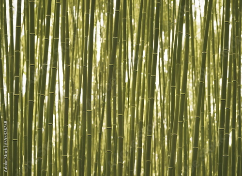 Illustration of bamboo forest  generative ai