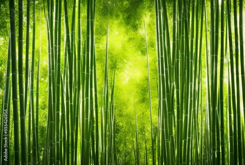 Illustration of bamboo forest  generative ai