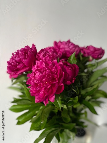 bouquet of pink roses