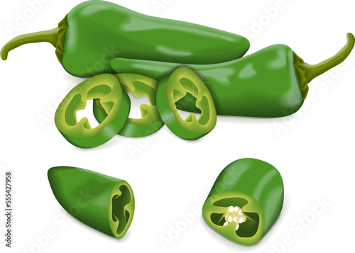 Whole, quarter, slices, and wedges of Green Fresno chili peppers. Capsicum annuum. Chili pepper. Vegetables. Vector illustration isolated on white background.