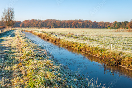 Winter landscape in the Netherlands with a blue sky and frosted grass. The ditch is covered with a thin layer of ice. The cold winter air has turned the grass a frosty white.