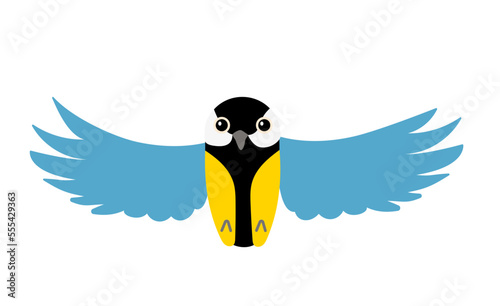 Coal tit bird, flying with open wings vector illustration