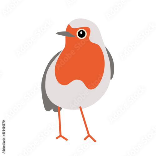 cute robin bird vector illustration