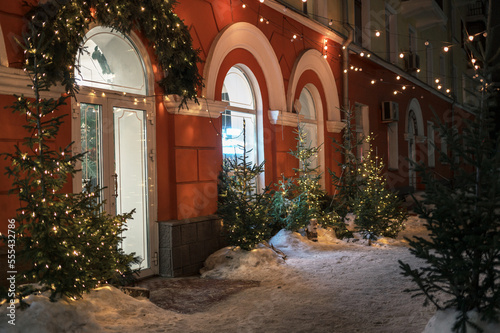 Christmas or New Year illum...