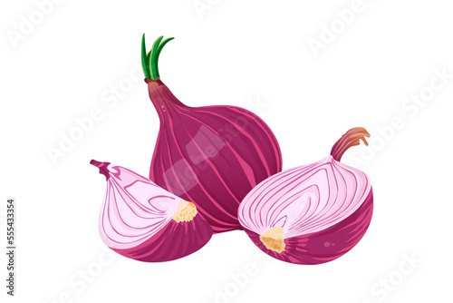 Vector fresh red onion on white. Vector illustration.
