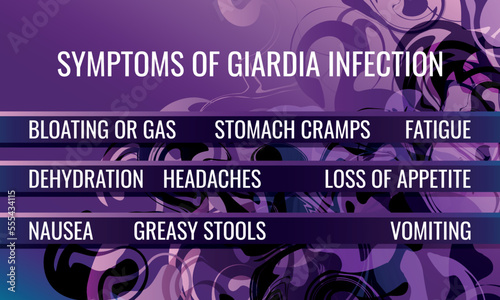 symptoms of Giardia infection. Vector illustration for medical journal or brochure. photo