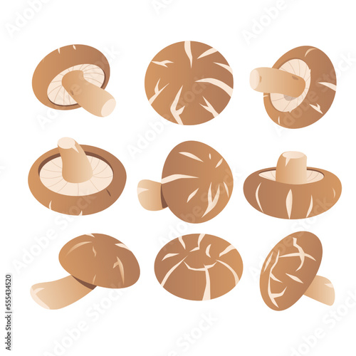 Vector illustration of a set of small brown round black shiitake tree mushrooms. photo