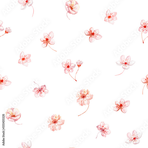 Watercolor Seamless Pattern with Sakura  Cherry Flowers on the white Background.