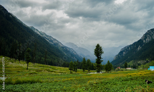 Beautiful Landscape in Cloudy weather