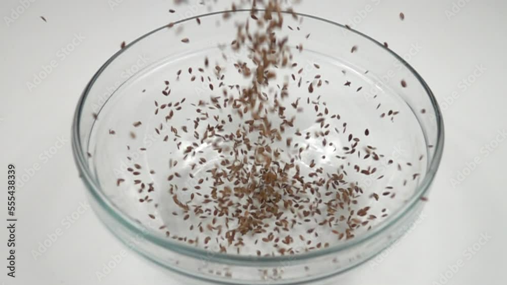 The brown flax seeds slowly falling into a glass bowl, slow motion The brown flax seeds slowly falling into a glass bowl, slow motion
