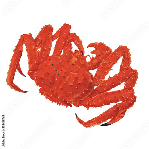 Red king crab isolated on the white background