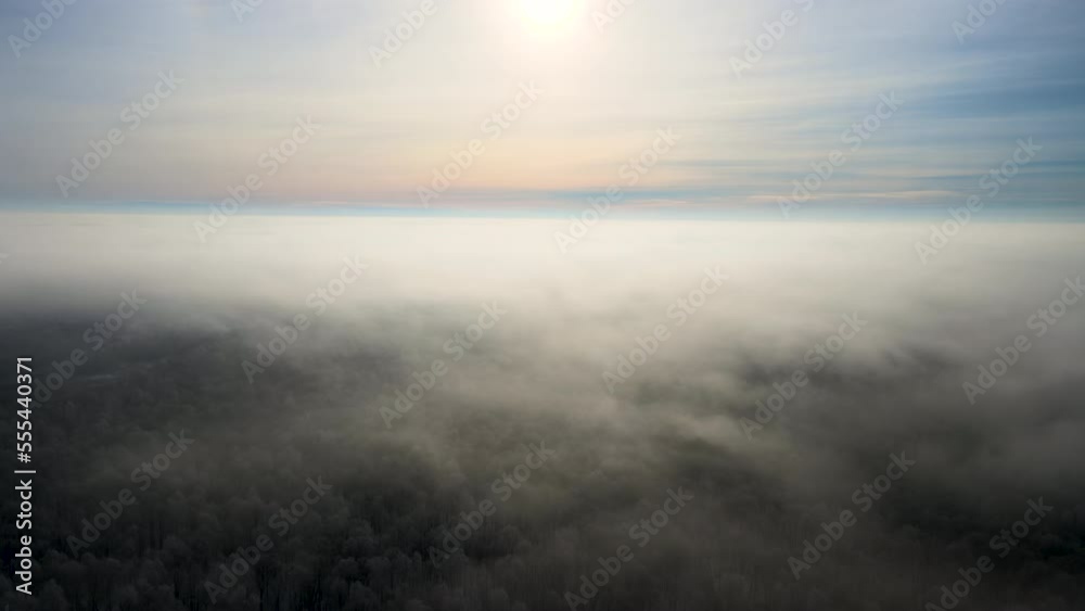 Aerial view of foggy morning over snow covered white forest with frozen trees in cold winter. Dense wild woodland in wintertime Aerial view of foggy morning over snow covered white forest with frozen trees in cold winter. Dense wild woodland in wintertime