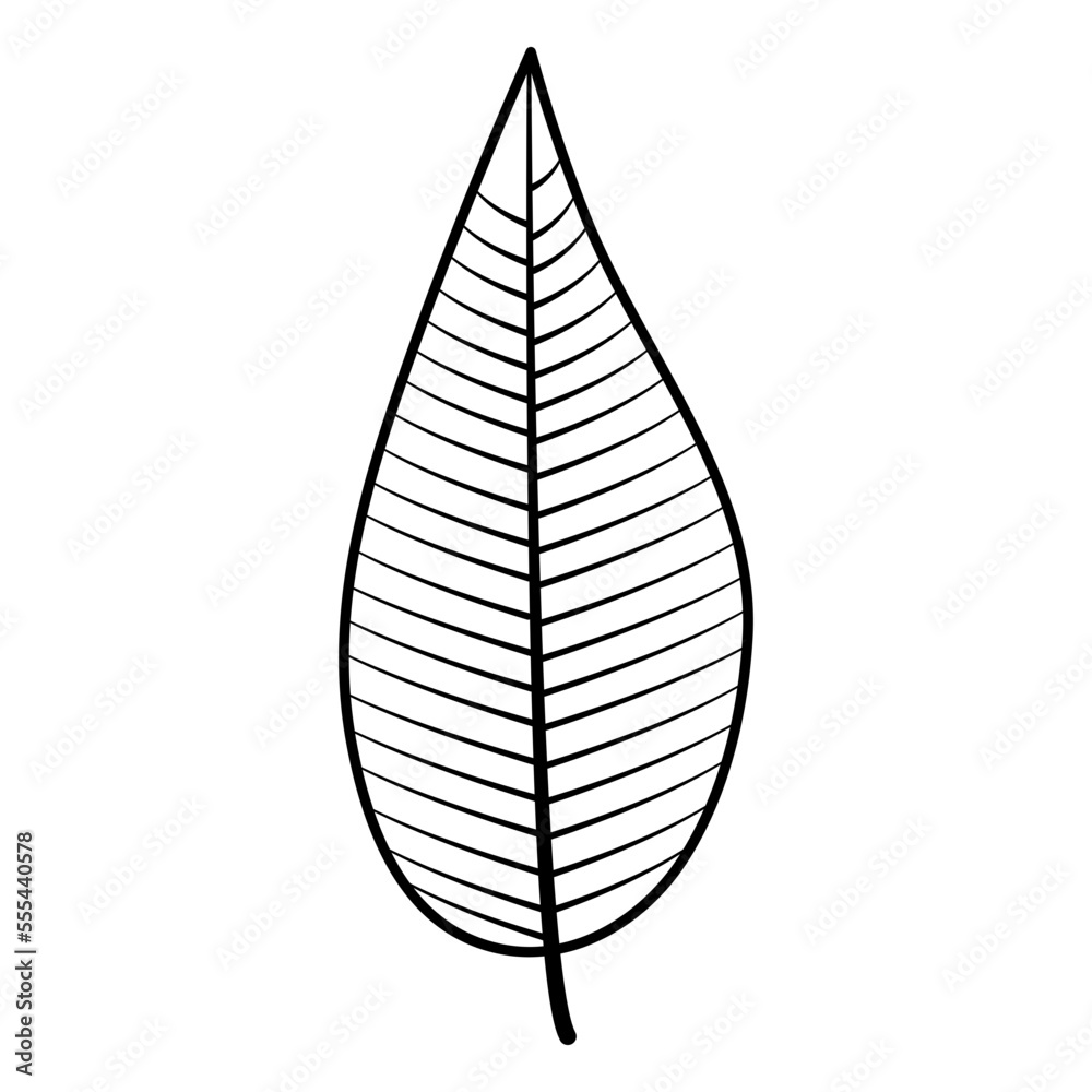 Plants doodle Plants doodle