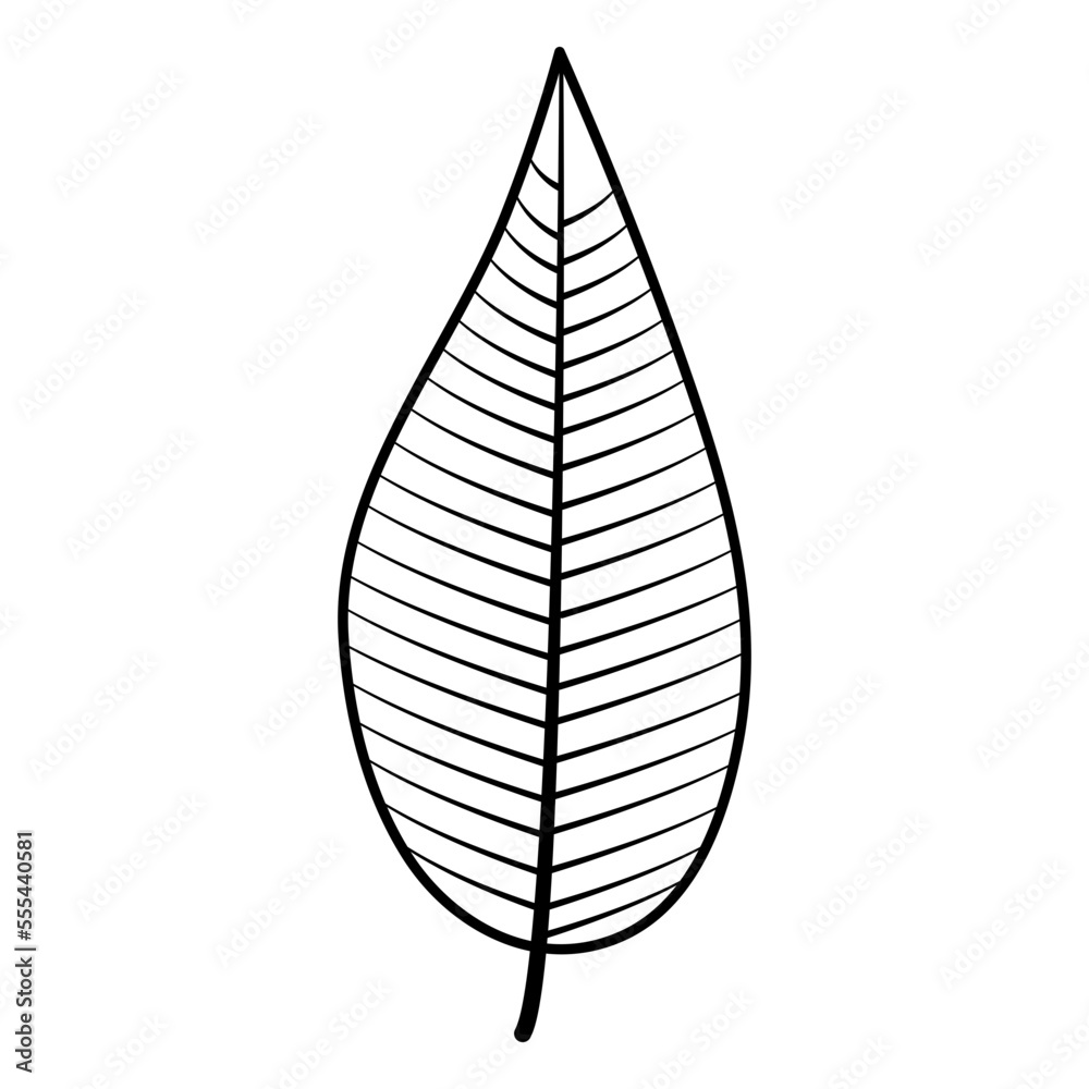 Plants doodle Plants doodle