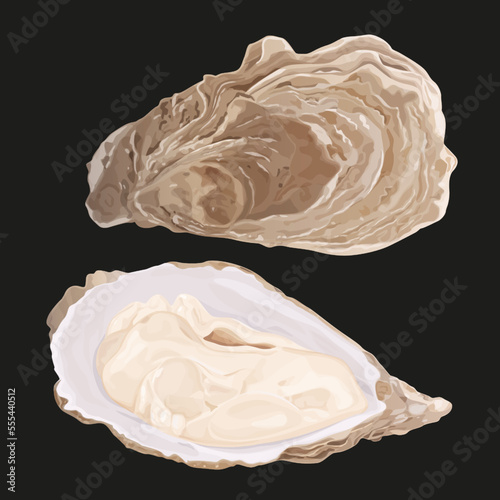 Oysters isolated on black background. Trendy healthy food. Oysters. Print. Banner, label, poster, sticker, logo, vector illustration.