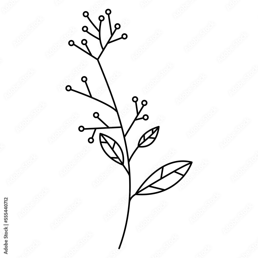 Plants doodle