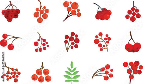 Rowan icons set. Flat set of Rowan vector icons for web design isolated