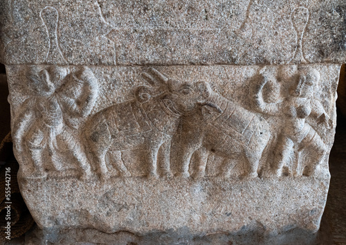 Elephants bas relief in Sri Ranganathaswamy Temple, Tamil Nadu, Tiruchirappalli, India photo