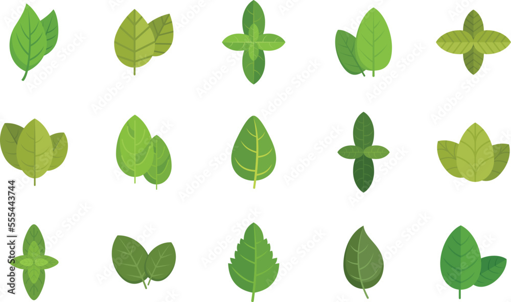 Basil icons set flat vector. Agriculture aroma leaf. Basil healthcare isolated