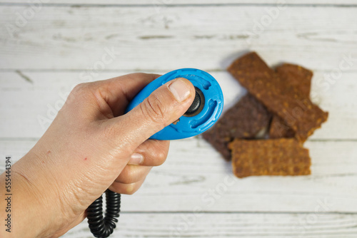 Hand holding a training or training clicker for dogs and in the background prizes for pets that promote positive education