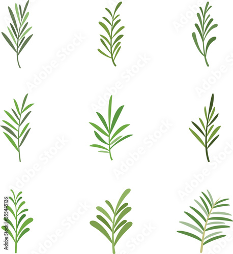 Rosemary icons set flat vector. Herb spices. Eating branch isolated