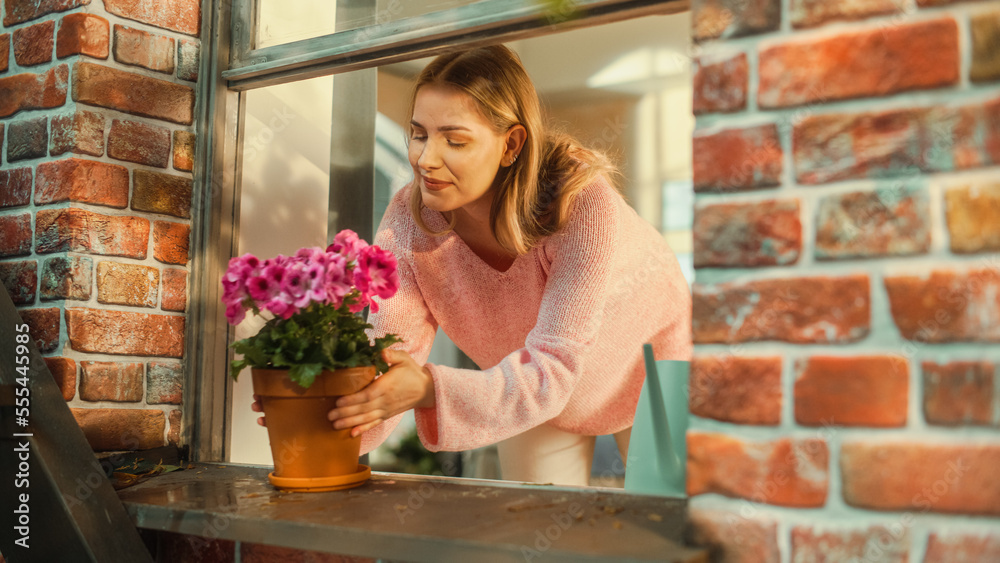 Young Female Watering Beautiful Pink Potted Flowers on a Window Sill in an Old Stylish Apartment Building. Housekeeper Managing Daily Tasks, Looking Over the House Plants on a Hot Sunny Day.