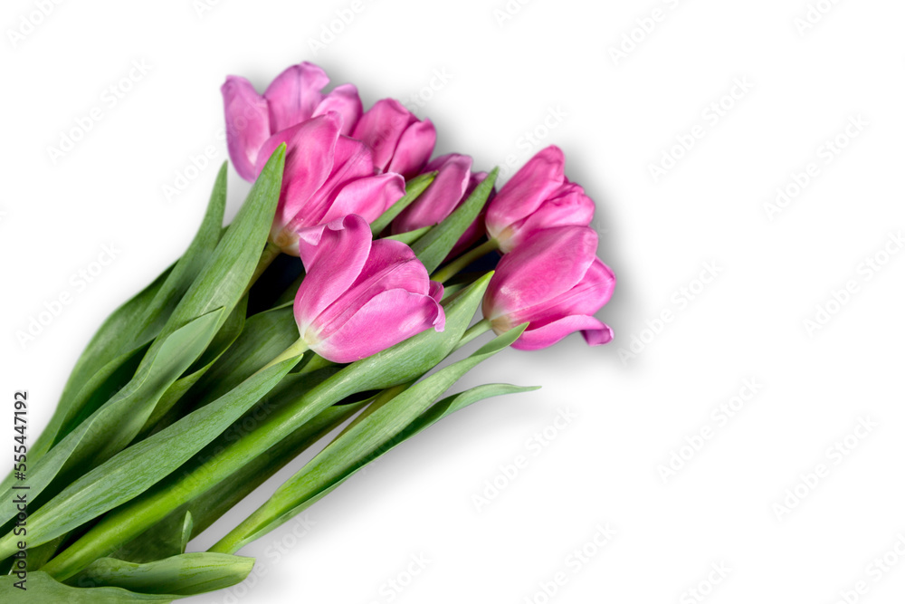 A fresh beautiful bouquet of tulips flowers