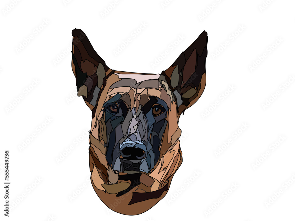 Obraz premium dog