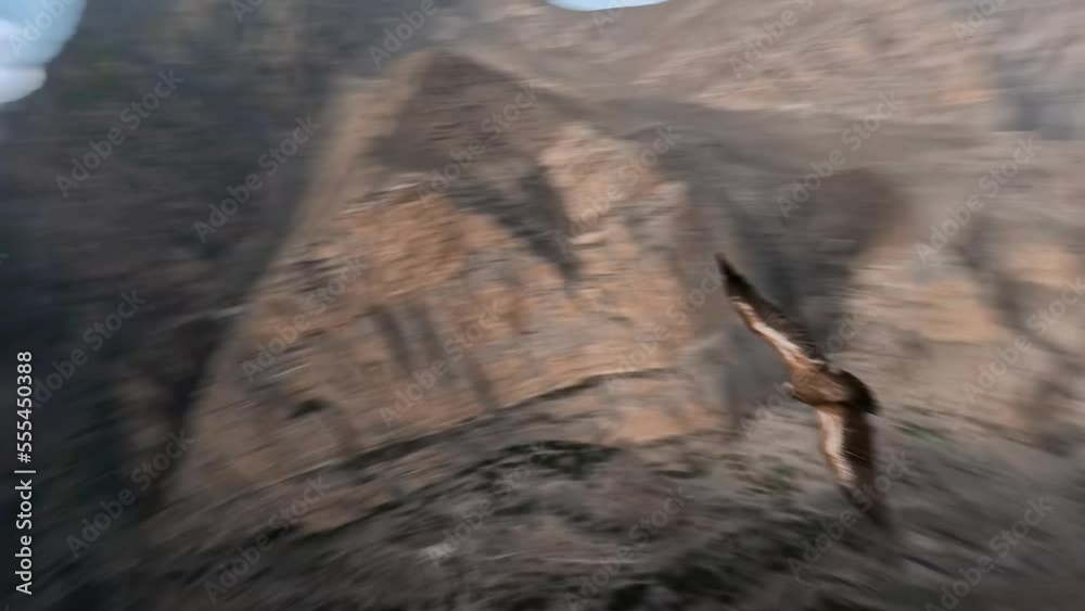 Flying eagle follow over epic mountain stone structure desert valley village countryside landscape aerial view. FPV sports drone shot flight wild bird open wings freedom adventure travel exploration