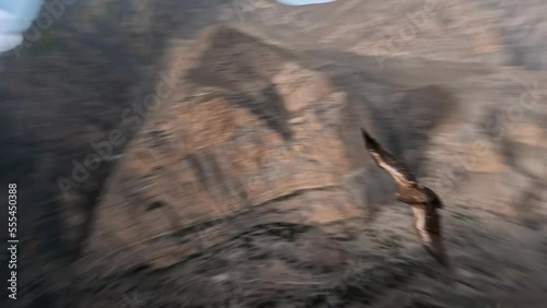 Flying eagle follow over epic mountain stone structure desert valley village countryside landscape aerial view. FPV sports drone shot flight wild bird open wings freedom adventure travel exploration