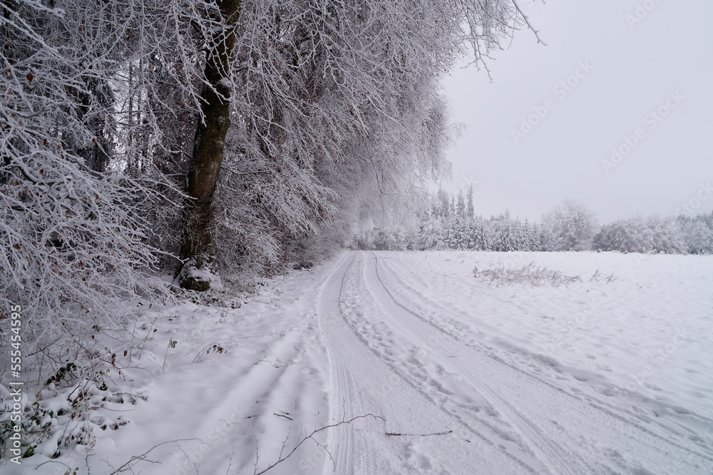 Fototapeta premium a wintery landscape of the scenic Bavarian countryside in Birkach with trees covered with snow and rime ice around Christmas time (Germany) 