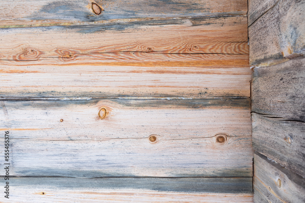 Obraz premium wood background