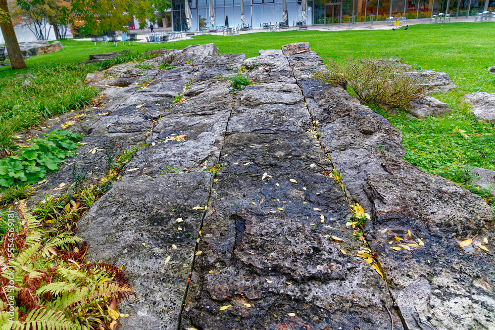 Basel Rocks Rocks at park in front of futuristic glass building designed by Frank O ...
