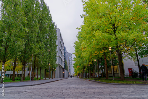 Beautiful tree alley at Swiss Novartis Campus at City of Basel on a cloudy autumn morning. Photo taken October 3rd  2022  Basel  Switzerland.