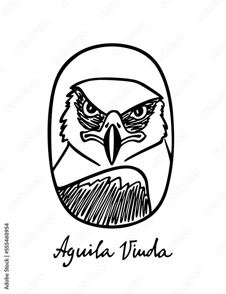 Vector card with hand drawn beautiful Black-and-white Hawk-Eagle in austere ellipse frame. Beautiful wild animal illustration, ink drawing, graphic style. Logo template Vector card with hand drawn beautiful Black-and-white Hawk-Eagle in austere ellipse frame. Beautiful wild animal illustration, ink drawing, graphic style. Logo template