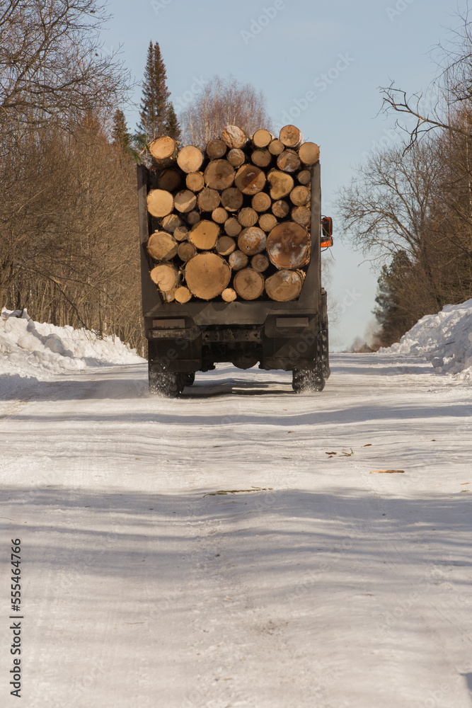 rear view of a long heavy industrial cargo ship for transporting timber ...