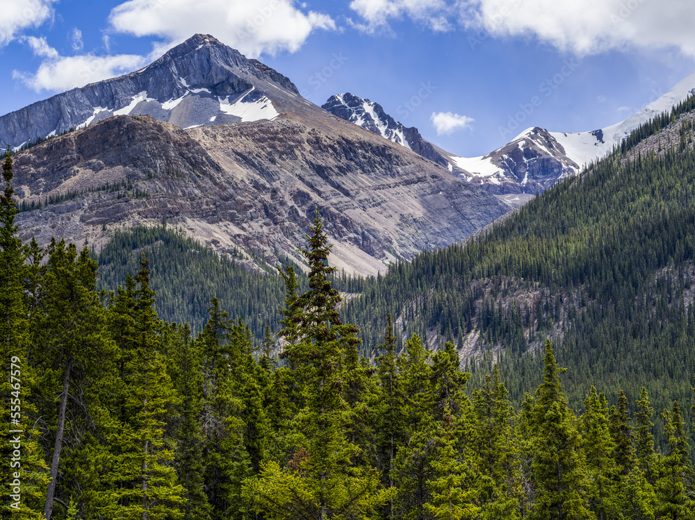 Rugged Canadian Rocky Mountains with a forest in the valley; Jasper, Alberta, Canada Rugged Canadian Rocky Mountains with a forest in the valley; Jasper, Alberta, Canada