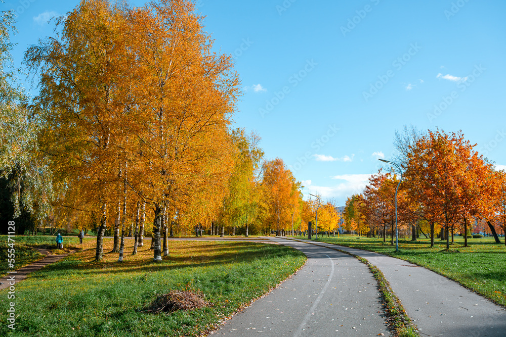 Beautiful autumn park. Panorama of the city park in sunny weather Beautiful autumn park. Panorama of the city park in sunny weather