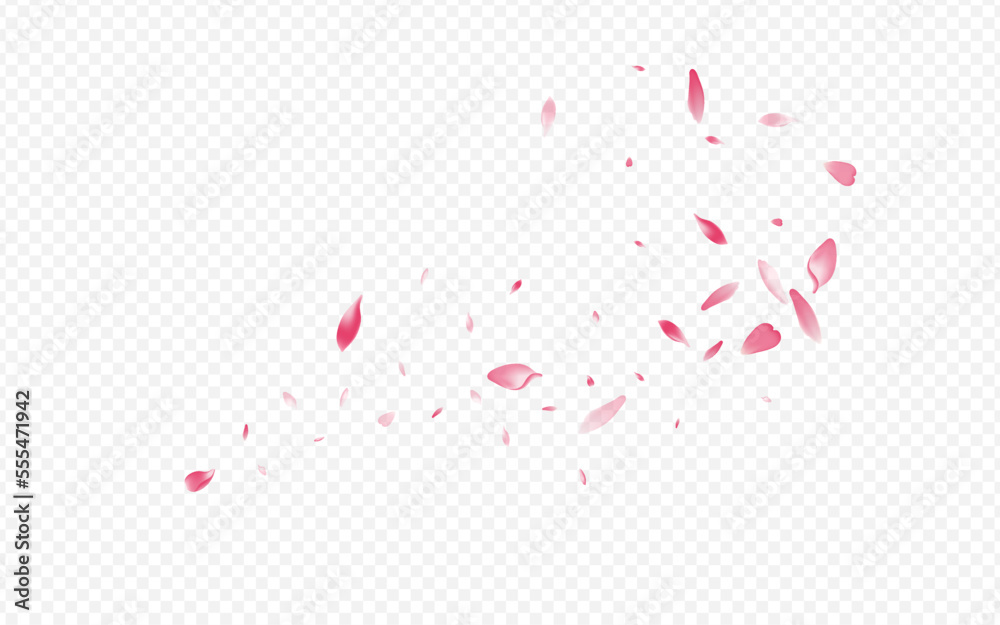 Light Rose Vector Transparent Background.
