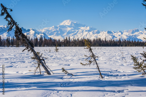 20,320' Mount Denali, formerly known as Mount McKinley, is seen from the Chulitna snowmobile trail on a clear sunny winter day in South-central Alaska; Alaska, United States of America photo