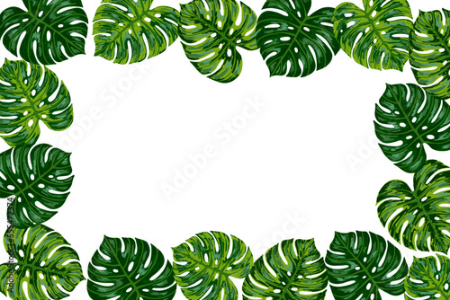 Tropical jungle frame with palm monstera leaf . Vector hand drawn border illustration for greeting card, poster, logo, packing. Banner with space for text.