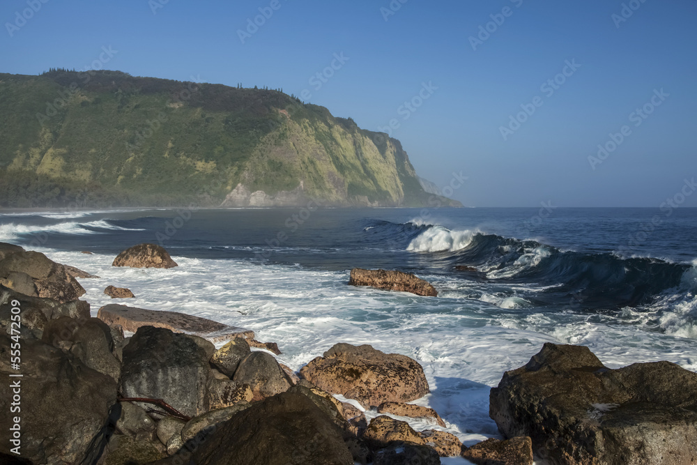 Black sand beach on the Hamakua Coast, Waipio Valley, near Honokaa; Island of Hawaii, Hawaii, United States of America Black sand beach on the Hamakua Coast, Waipio Valley, near Honokaa; Island of Hawaii, Hawaii, United States of America