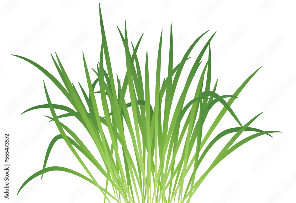 Green vegetation. Spring realistic meadow grass blades