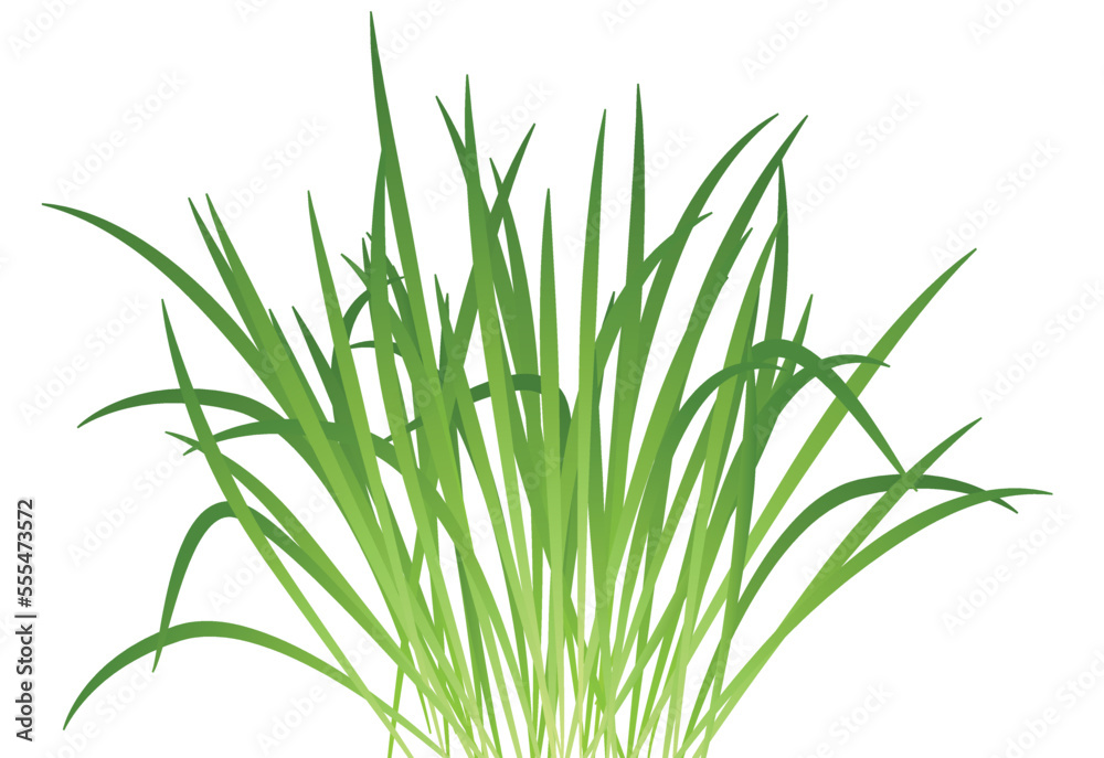 Green vegetation. Spring realistic meadow grass blades Green vegetation. Spring realistic meadow grass blades