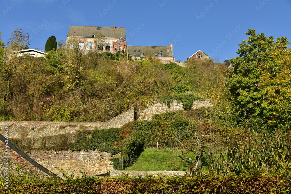 Quelques vieilles bâtisses historique dominant la végétation luxuriante des jardins en terrasses à Thuin en Hainaut 