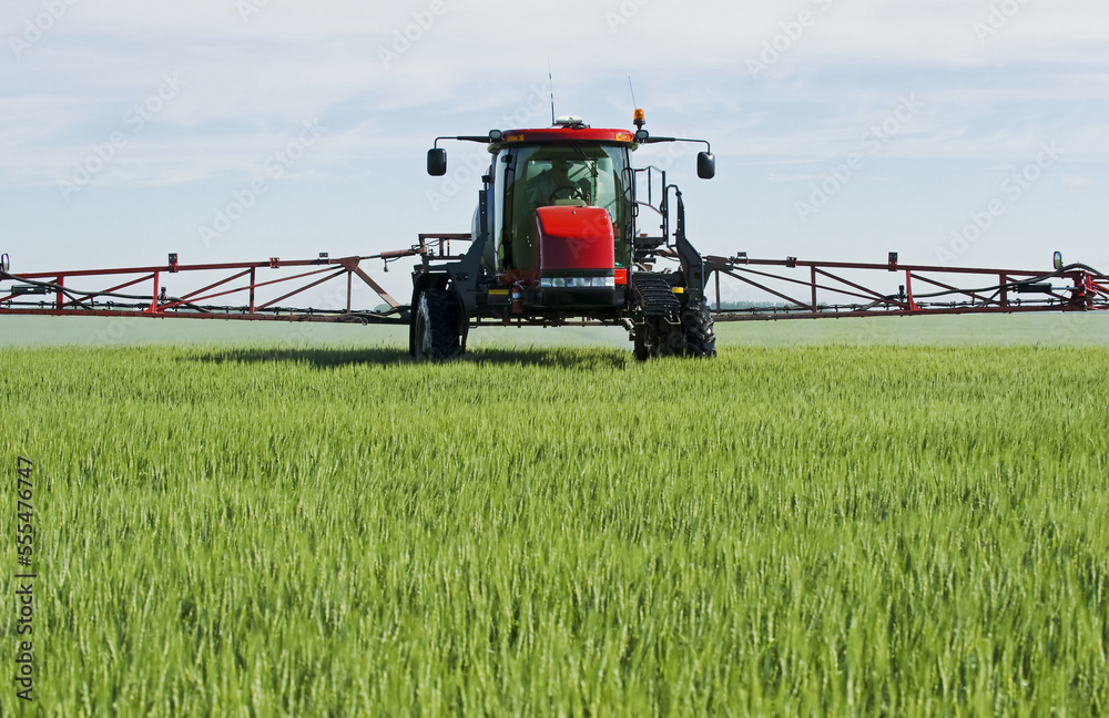 A high clearance sprayer gives a ground chemical application of fungicide to mid-growth wheat, near Dugald; Manitoba, Canada A high clearance sprayer gives a ground chemical application of fungicide to mid-growth wheat, near Dugald; Manitoba, Canada