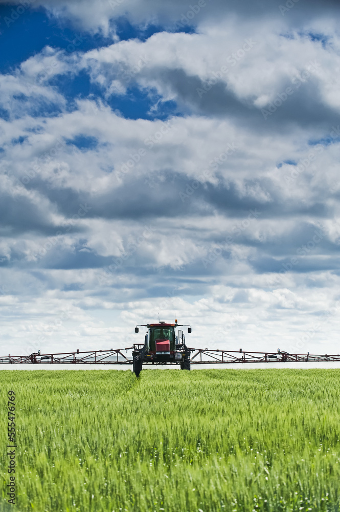 A high clearance sprayer gives a ground chemical application of fungicide to mid-growth wheat, near Dugald; Manitoba, Canada A high clearance sprayer gives a ground chemical application of fungicide to mid-growth wheat, near Dugald; Manitoba, Canada