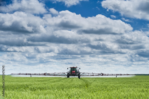 A high clearance sprayer gives a ground chemical application of fungicide to mid-growth wheat, near Dugald; Manitoba, Canada