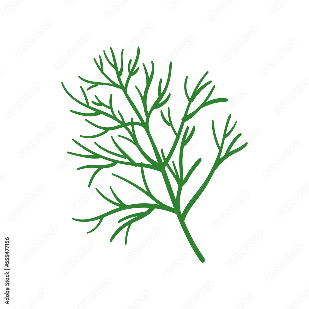 Dill with vitamin C vector illustration. Cartoon drawing of enriched organic antioxidant, dill. Food, nutrition, diet concept Dill with vitamin C vector illustration. Cartoon drawing of enriched organic antioxidant, dill. Food, nutrition, diet concept