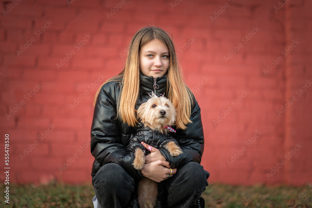A young beautiful girl holds a dog in her arms.